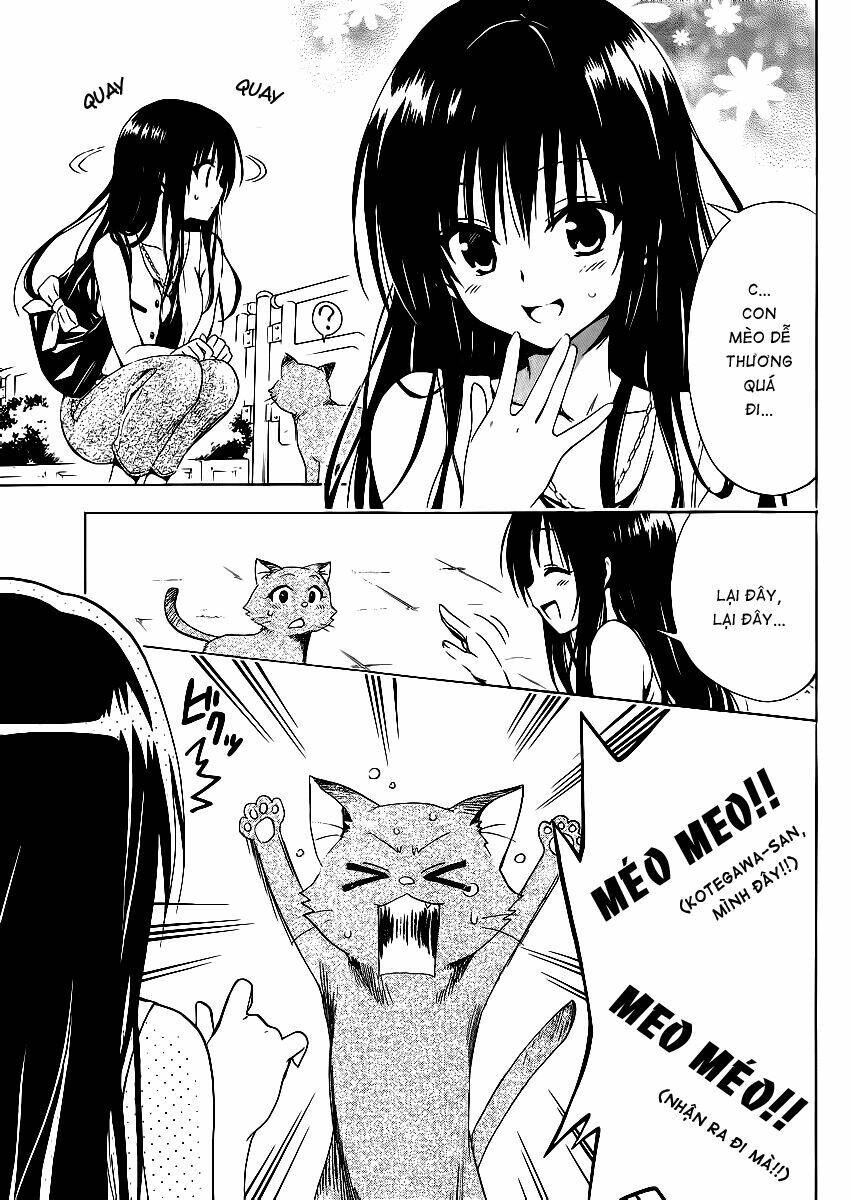 bọn tớ thích cậu! rito 2 - venus chapter 15 9