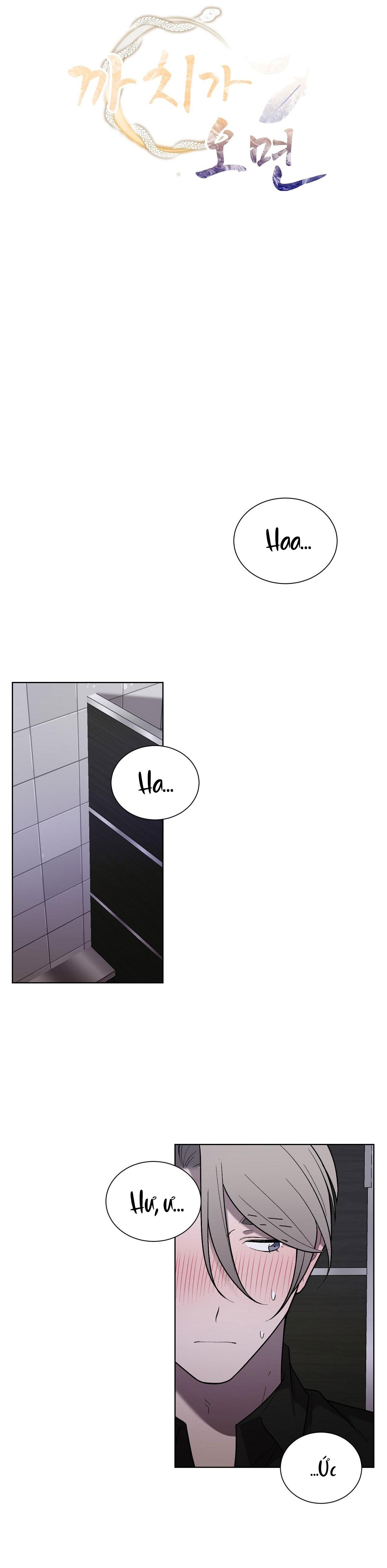 khi chim thước đến chapter 16 7