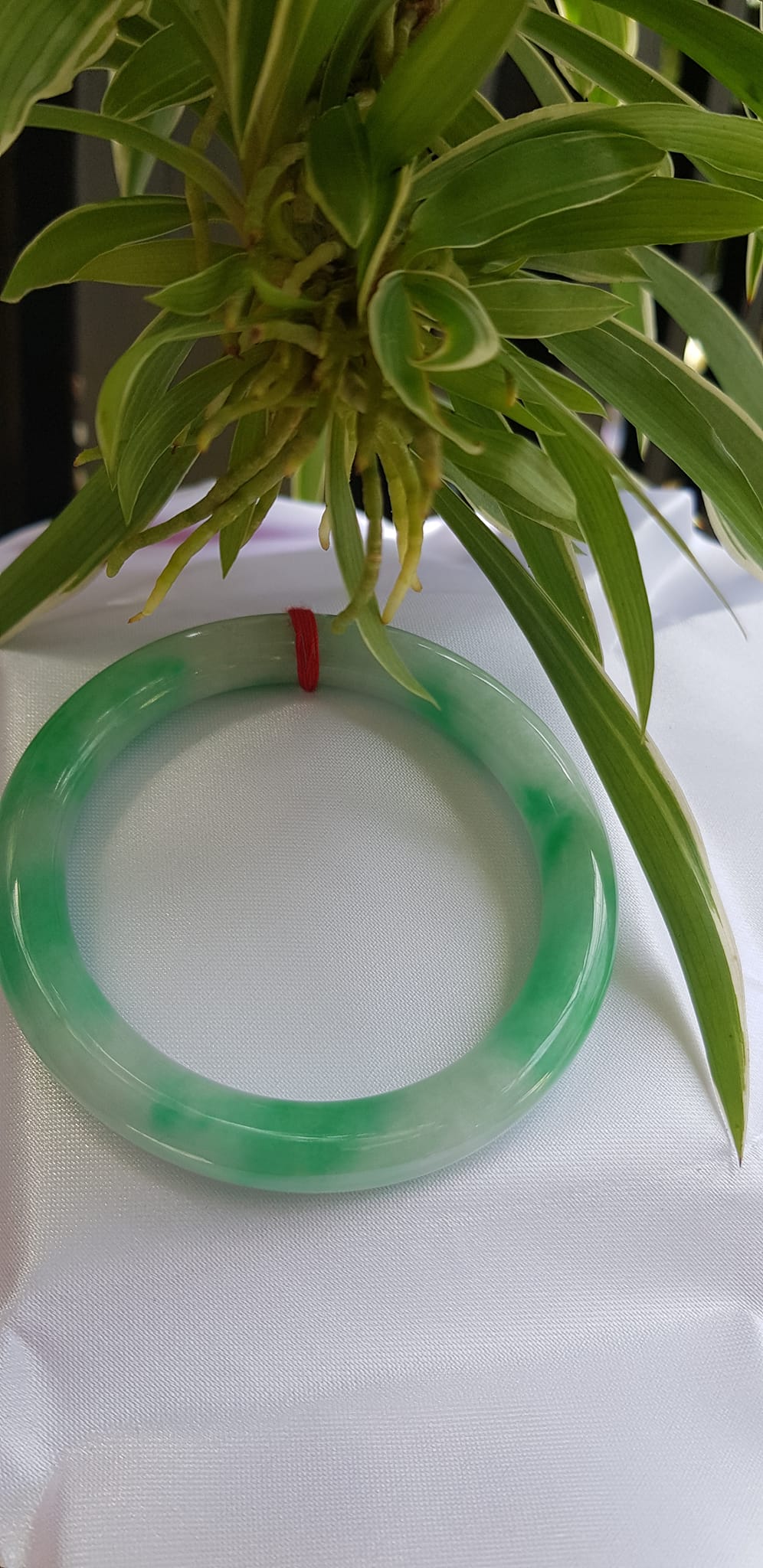 Vòng tay nữ đá Cẩm Thạch tự nhiên mới TR LÝ IC 54mm x chột to 9mm vòng màu trắng xanh lý đẹp nữ 52kg - 56kg đeo ạ