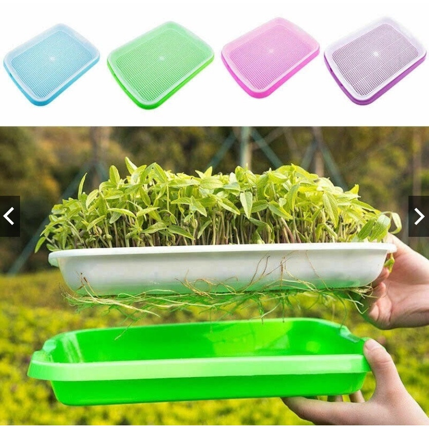 Bộ khay nhựa PP ươm rau mầm thủy canh 34x25x5