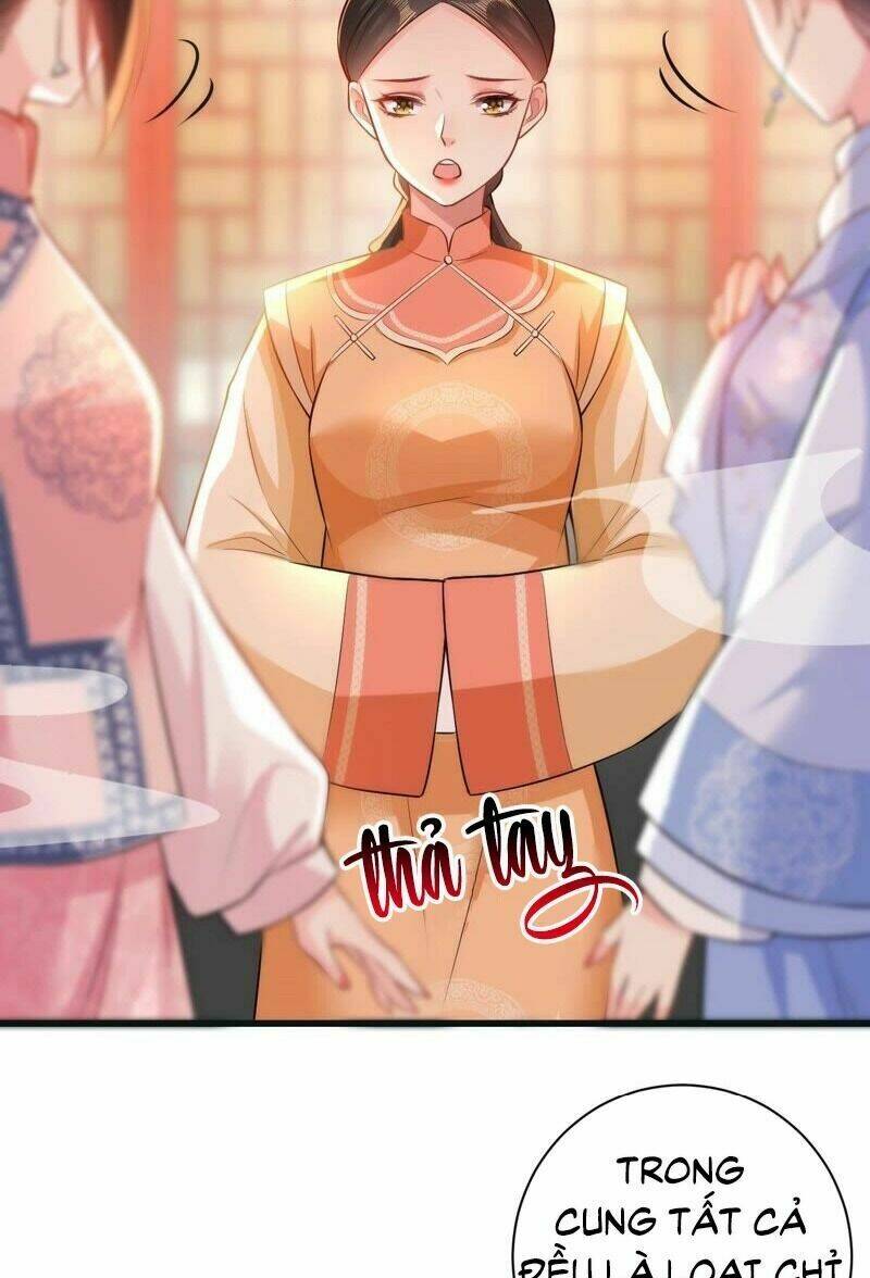 quận chúa vững vàng, thiết lập nhân vật không thể vỡ chapter 49 35