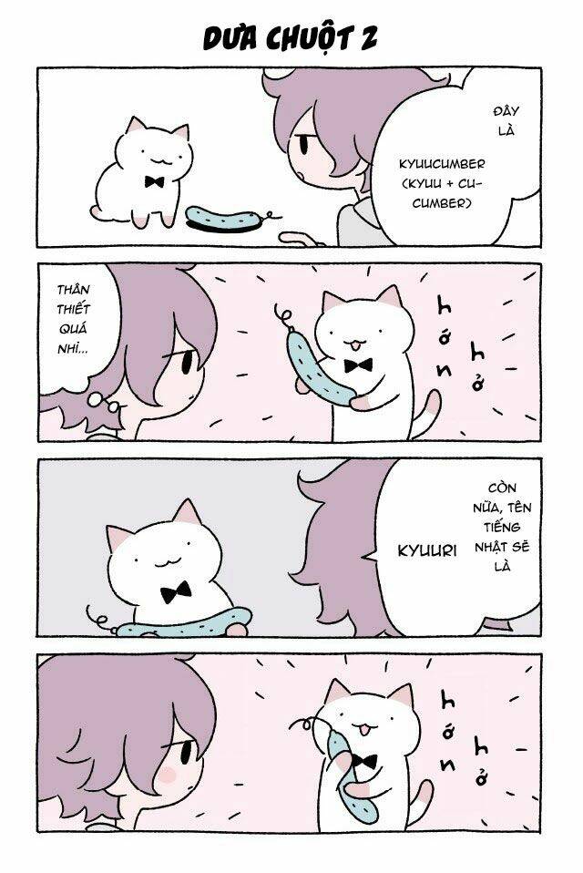chú mèo kỳ diệu kyuu-chan chapter 155 2