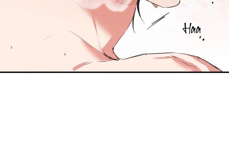 những chú thỏ của hapypy chapter 64 62