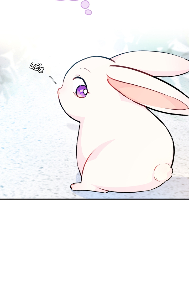 mối liên kết giữa báo đen và bé thỏ chapter 3 49