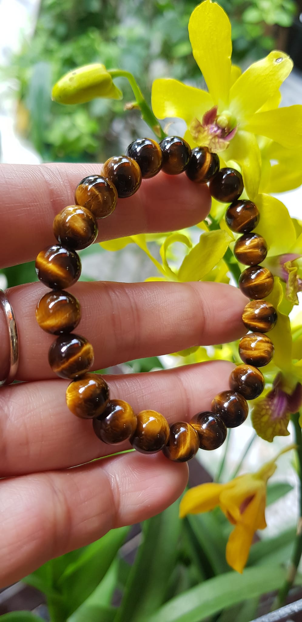 Vòng tay phong thuỷ may mắn nữ đá mắt hổ tự nhiên vàng nâu bóng mượt đẹp Size nữ vòng hạt 8mm Vòng hợp nữ mệnh kim mệnh thổ mệnh Thủy đeo tay đẹp ạ