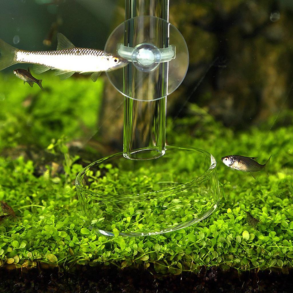 2x Aquarium Shrimp Feeder Feeding Food Tube For Aquarium Fish Tank