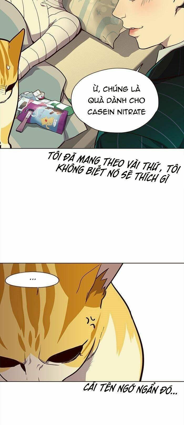 biến thân thành mèo chapter 29 30