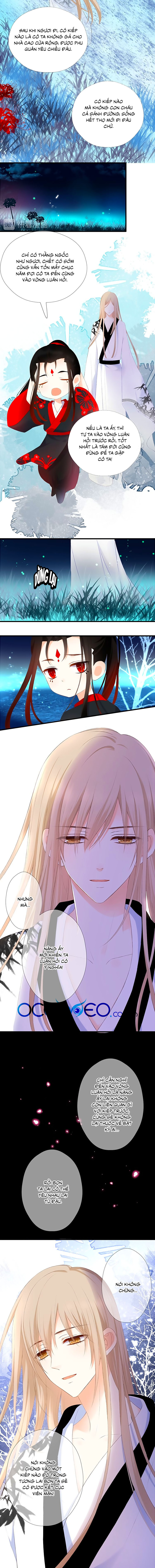 đóa hoa chớm nở chapter 60 7