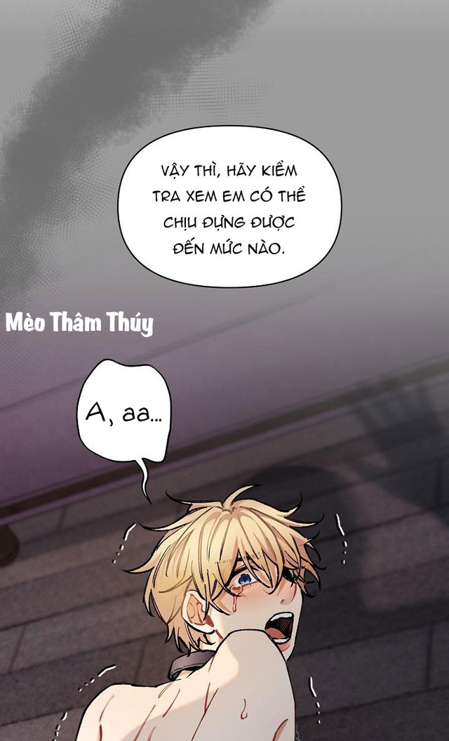 chuyến tàu cuồng loạn chapter 33 64