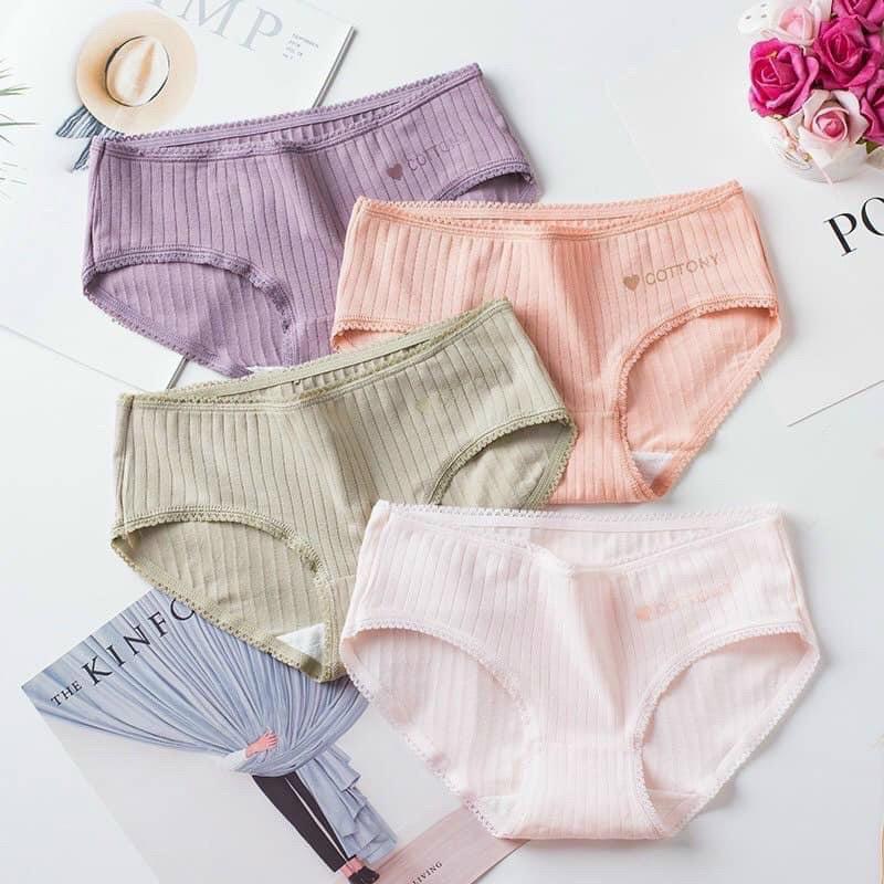5 quần lót cotton tăm kháng khuẩn