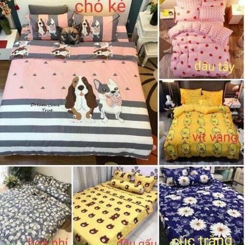 Ga Gối Polly Cotton m6 hoặc m8