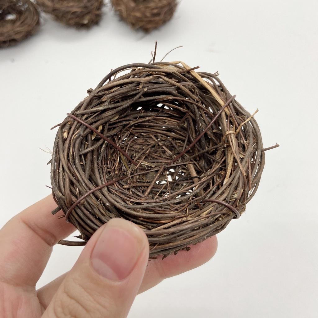 Tổ chim nhỏ đan bằng cây trang trí tiểu cảnh, sen đá, terrarium