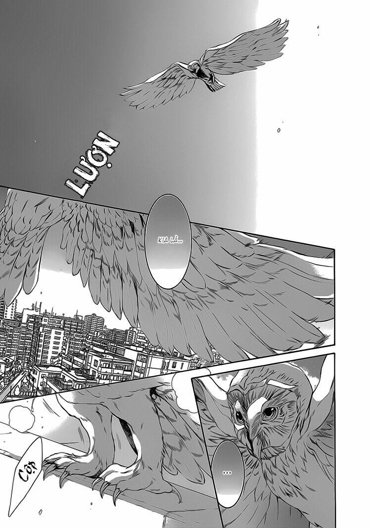 oinarisama no honey bunny chapter 9 36