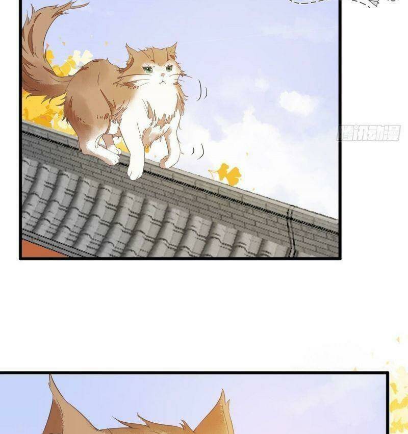 sát thủ vương phi không dễ chọc chapter 32 17