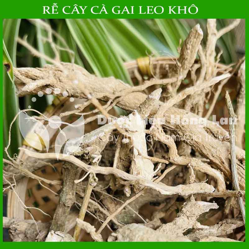 [THƯỢNG HẠNG] 500g Rễ Cây Cà Gai Leo sấy khô loại 1