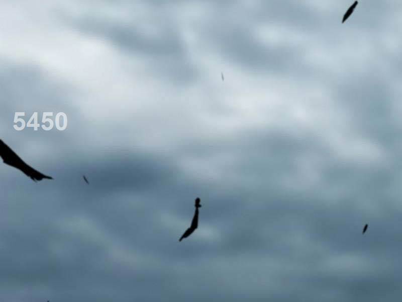 sự trở lại của huyền thoại chapter 117 2