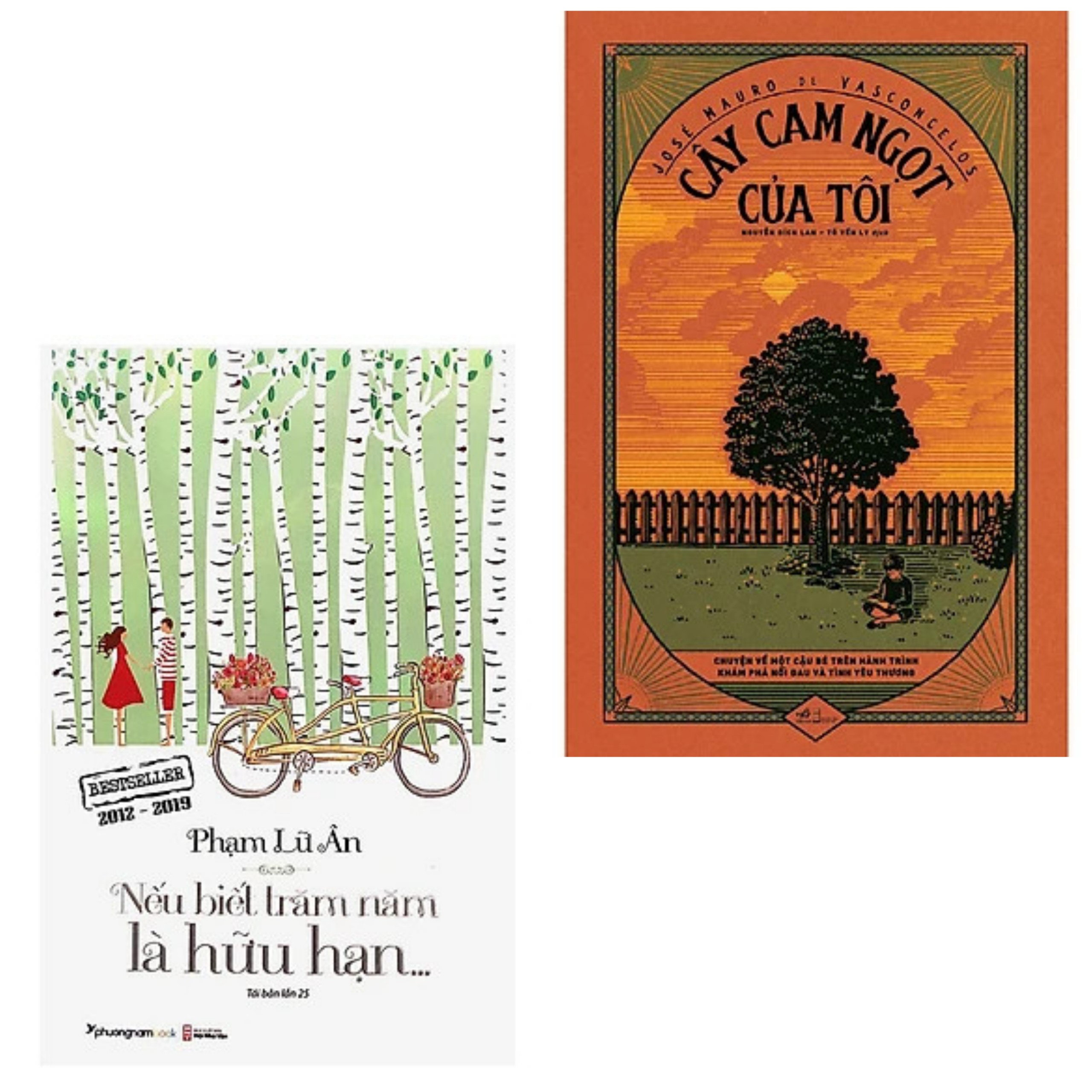 Combo 2Q: Cây Cam Ngọt Của Tôi + Nếu Biết Trăm Năm Là Hữu Hạn (Sách Thức Tỉnh Trái Tim/Nhận Thức Cuộc Sống)