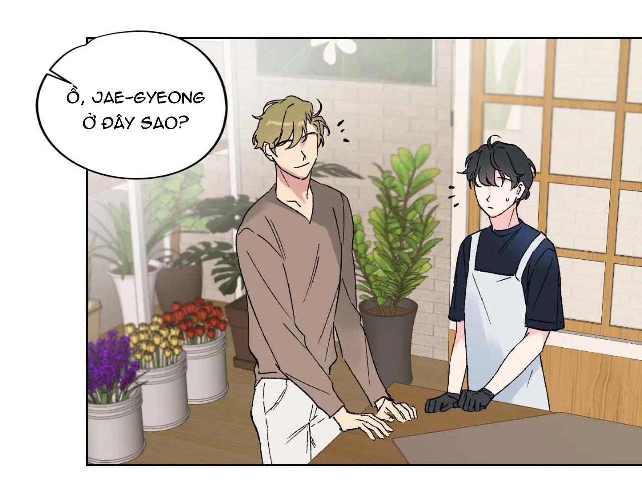 bước vào rắc rối chapter 4 19