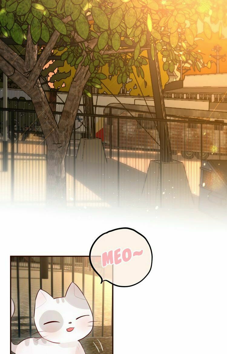 trú dạ liên miên chapter 16 34