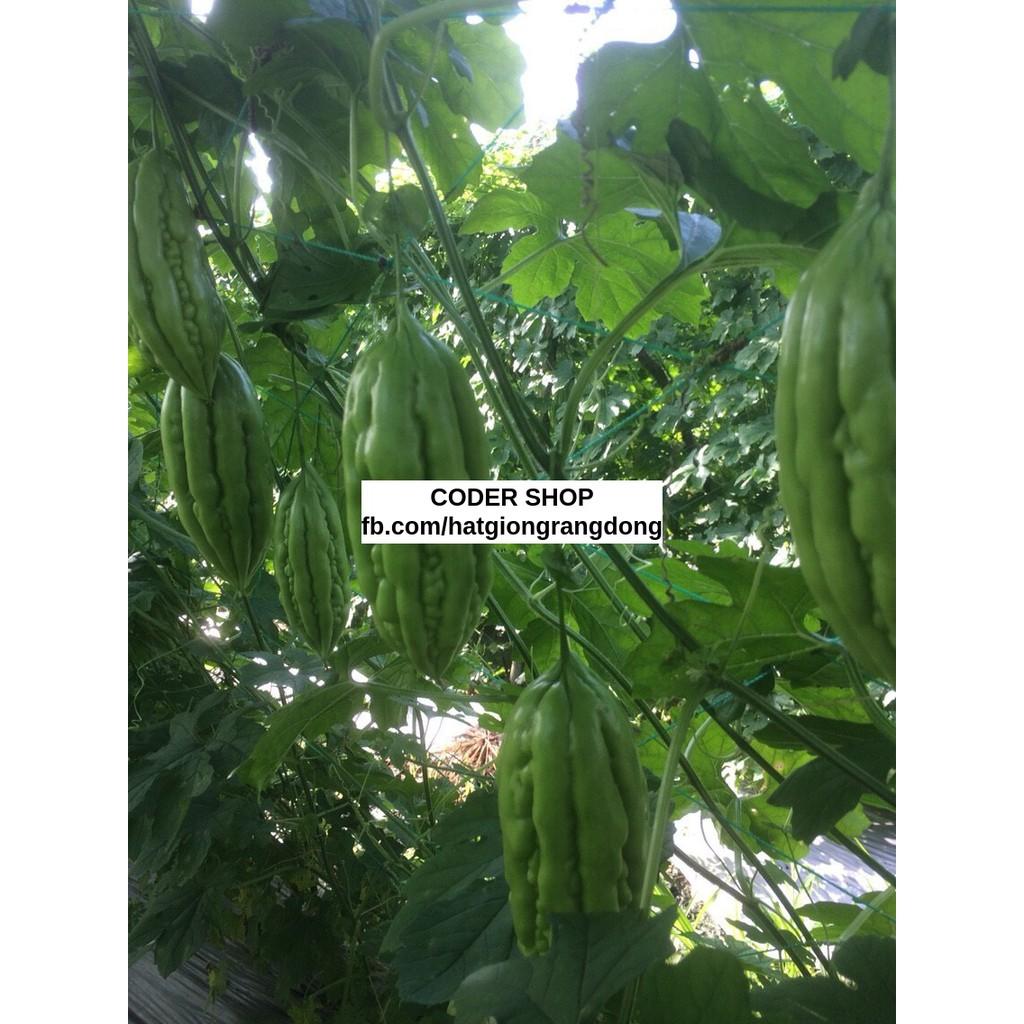 Hạt Giống Khổ Qua Trái Ngắn 2Gram