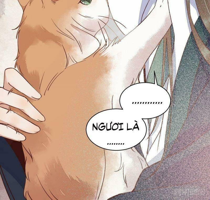 sát thủ vương phi không dễ chọc chapter 33 60