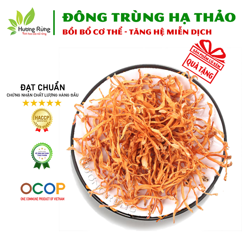 ĐÔNG TRÙNG HẠ THẢO 100g sấy khô nguyên chất