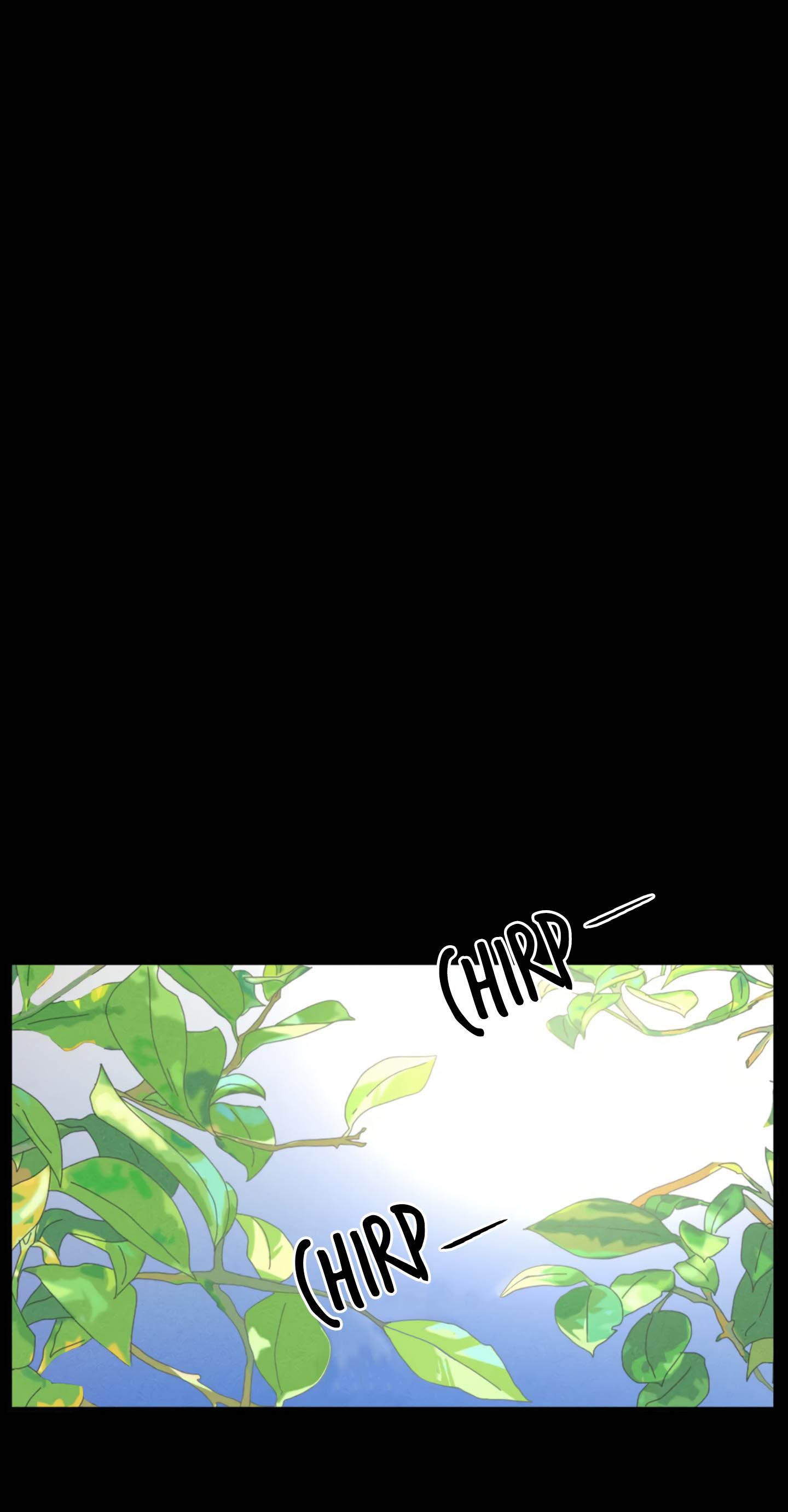 bẫy kép chapter 11 2