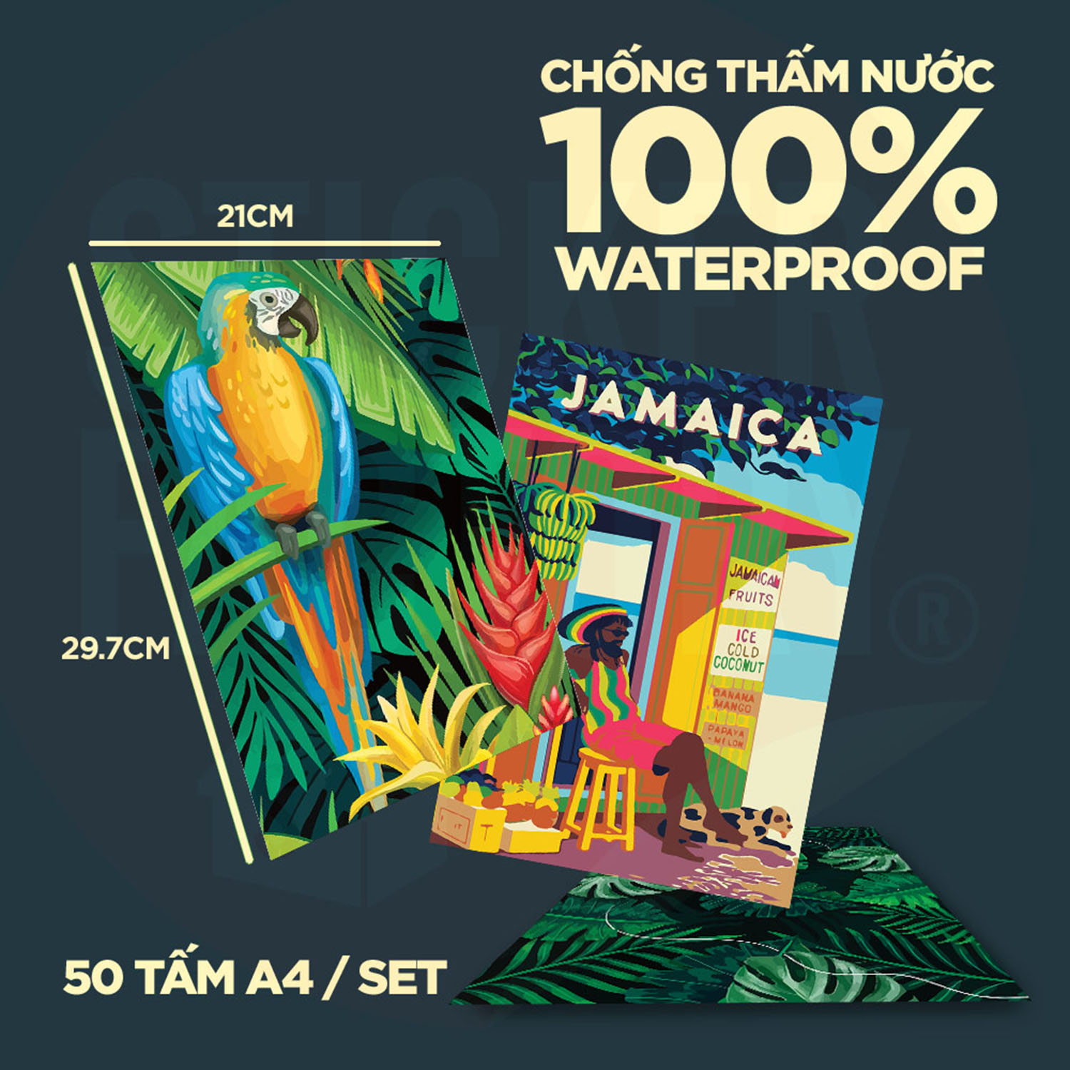 TROPICAL - Set 50 Poster A4 dán tường trang trí decor quán nhà cửa - STICKER FACTORY