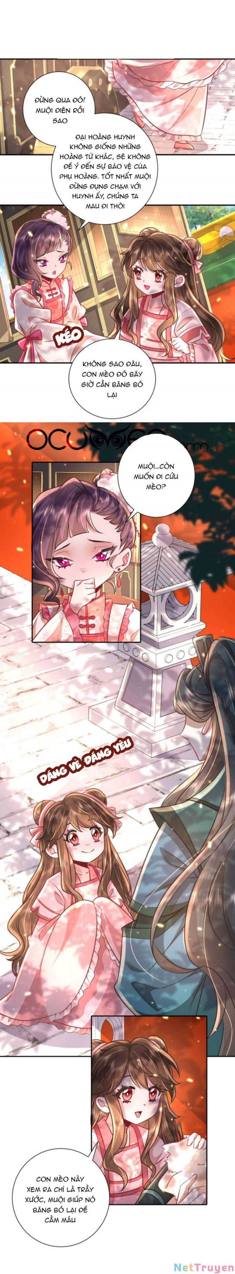 phương thức sinh tồn của công chúa pháo hôi chapter 45 4