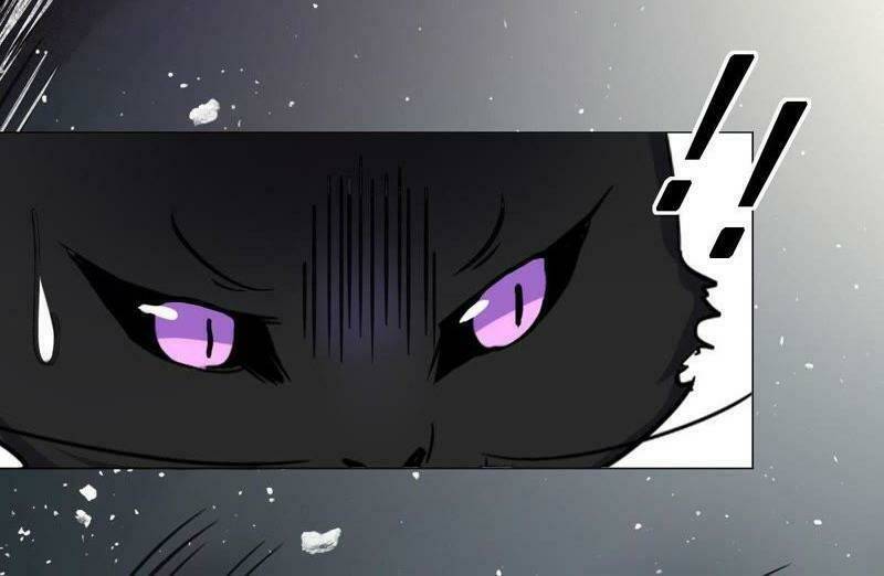 thập nhị hắc miêu chapter 5 15