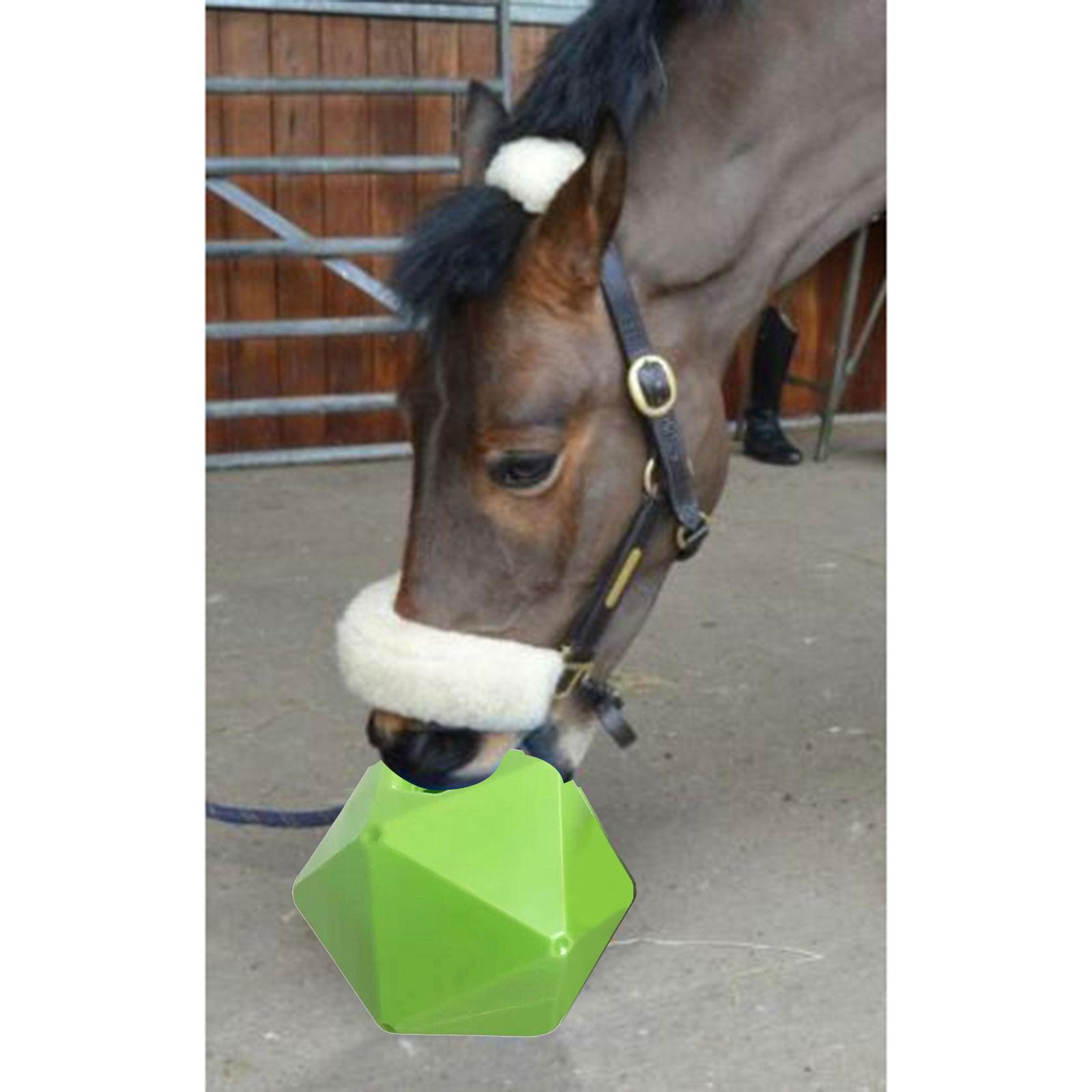 Horse Treat Ball Feeding Toys Feeder Cow Farmhouse Sheep Hay Play Snack Ball