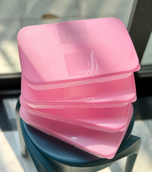 Bộ 4 Hộp Đựng Thực Phẩm Tupperware Trữ Đông Gen I Medium 650ml dẹp
