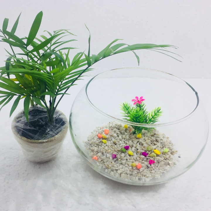 Bể cá mini để bàn tròn T11 Tặng phụ kiện