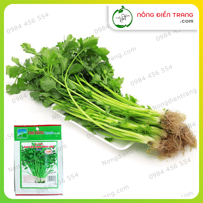 Hạt giống Rau Cần Tây Cọng Xanh Phú Nông - Gói 5g - Dễ Trồng Năng Suất Cao Kháng Bệnh Tốt VTNN Nông Điền Trang