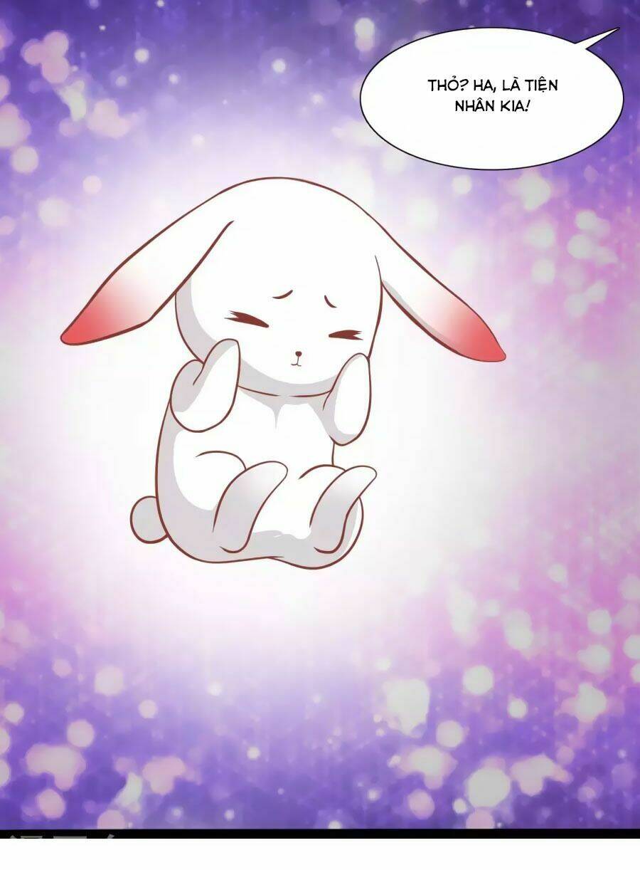 thỏ yêu tiểu vương phi chapter 41 13