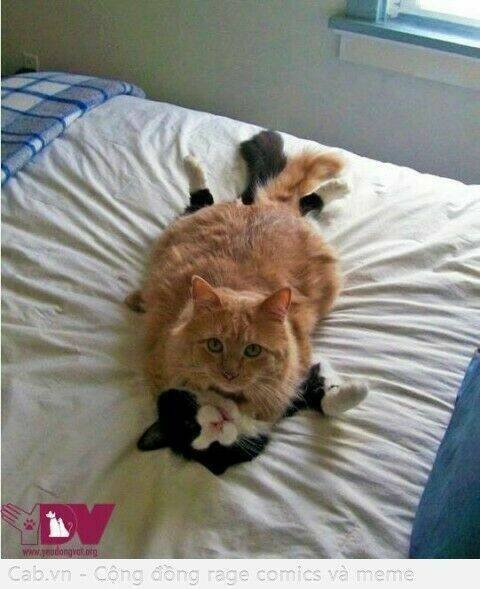 rage comic-troll chapter 66 26