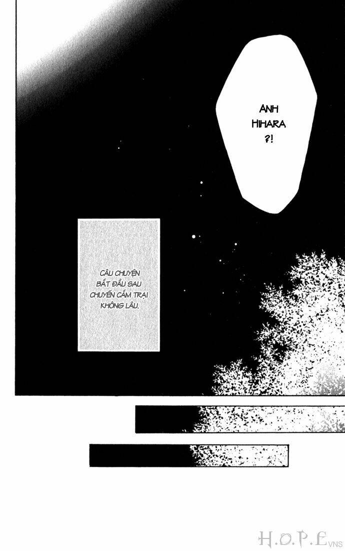 cung đàn vàng chapter 50 9