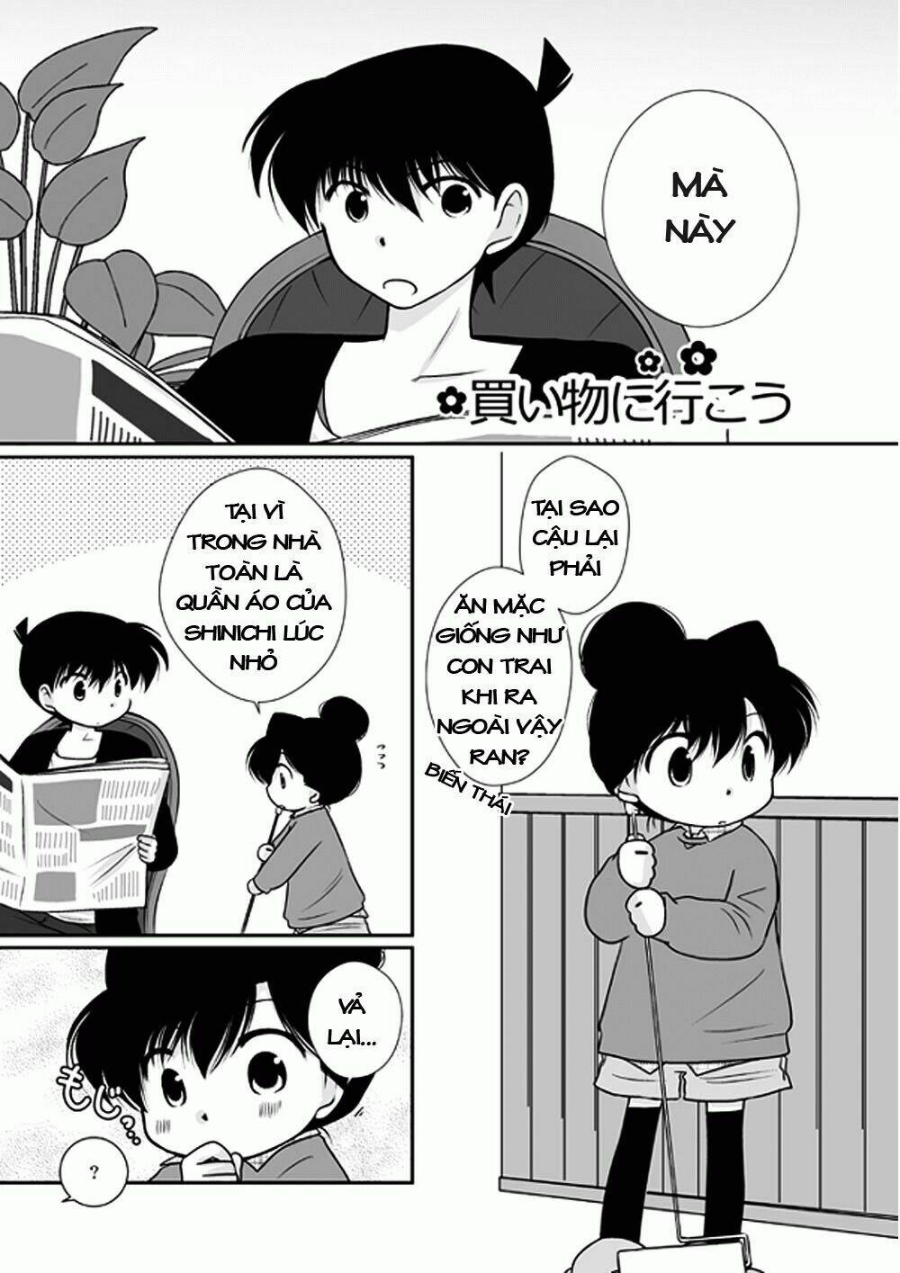 chuyện ngắn về shinichi và ran tại công viên giải trí chapter 1 20