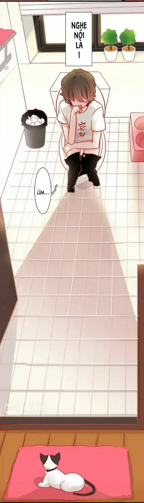 gấu nhỏ dư và thỏ thỏ hứa chapter 13 19