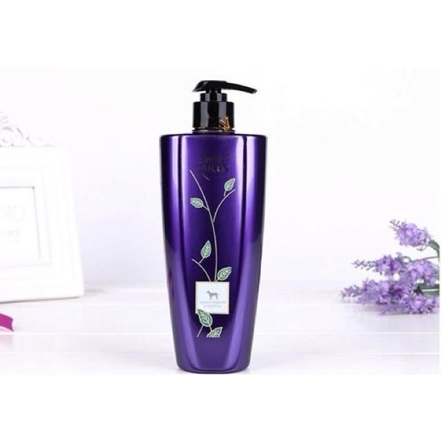 Sữa tắm hương nước hoa cho chó mèo Show queen- 500ml