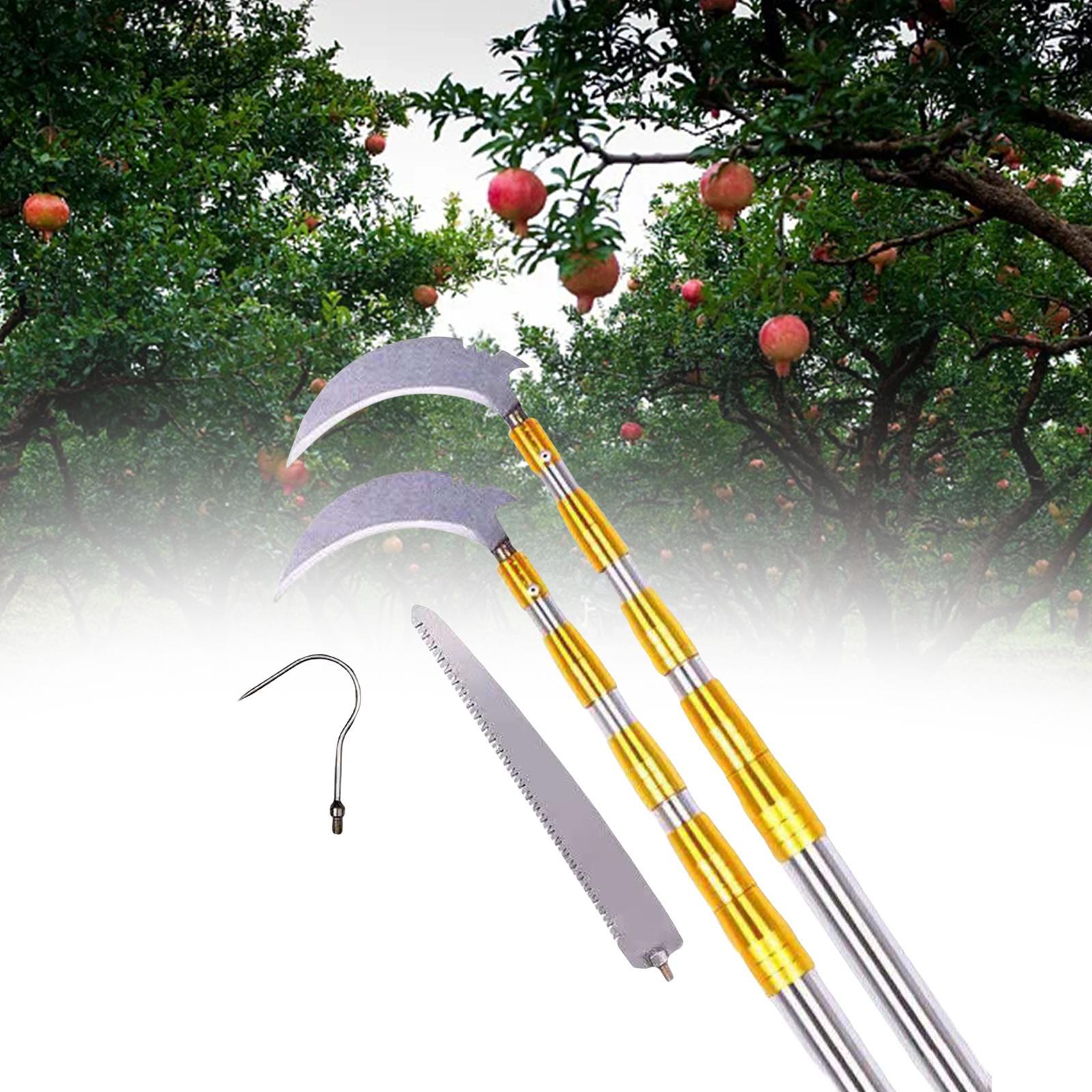 Fruit Picker Orchard Tool Garden Equipment Extendable Accs Fruit Picker Tool