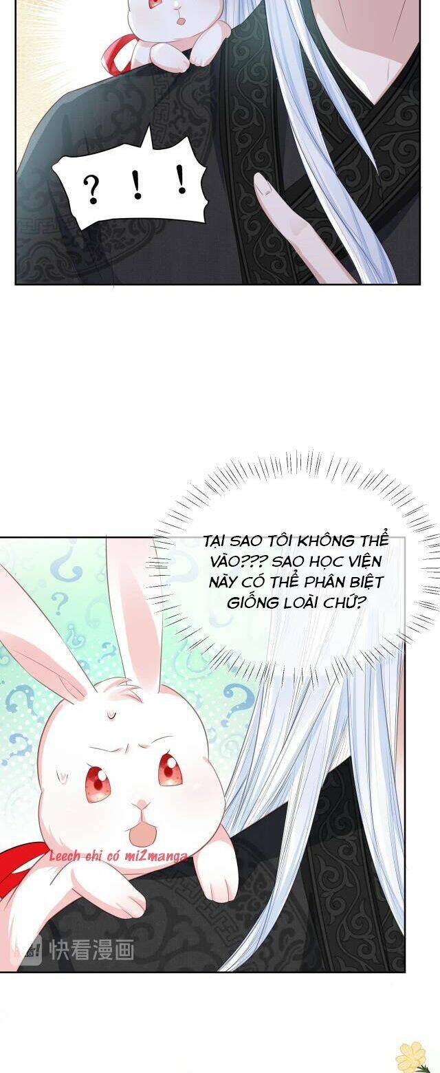 hắc hóa nam chính trực tuyến nuôi thỏ chapter 9 15