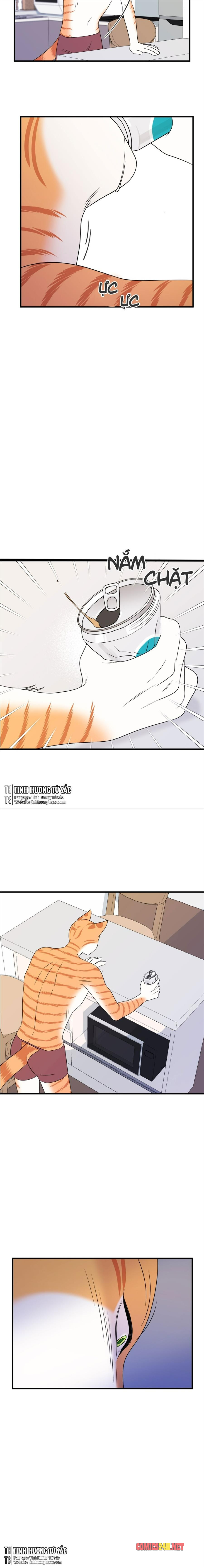 dự án xanh chapter 16 17