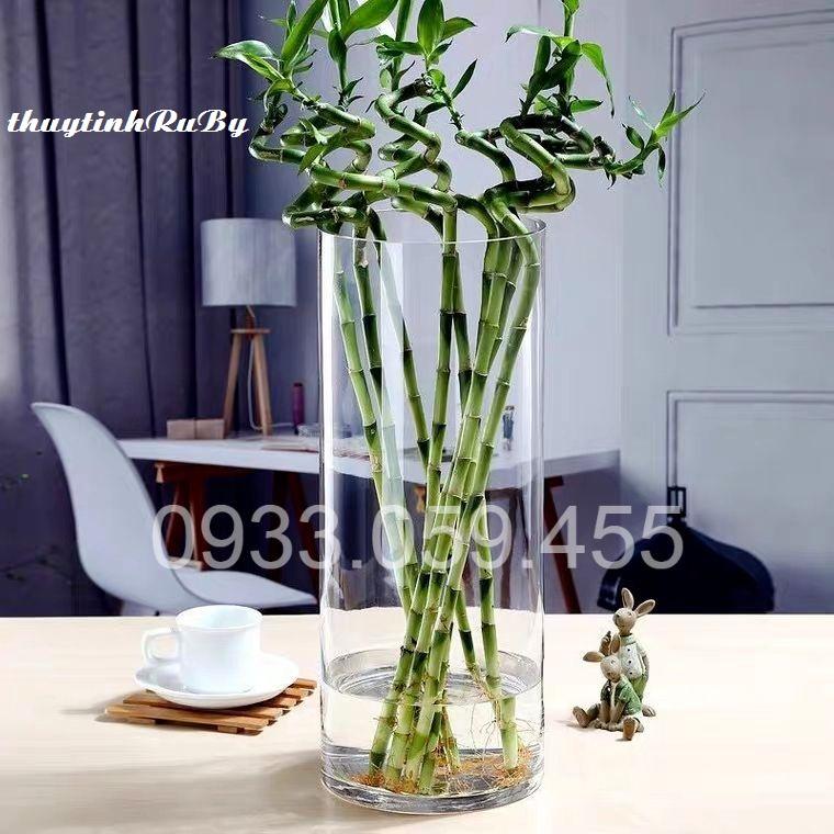 Bình hoa D10XH30Cm, Lọ cắm hoa thủy tinh trụ tròn hình ống