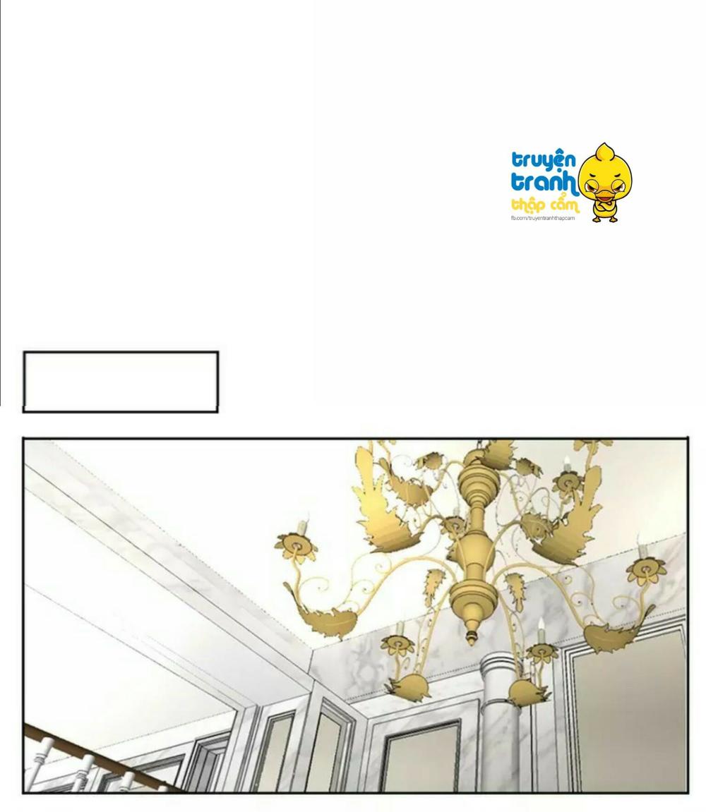 cứu mạng ! loài mèo thống trị thế giới rồi ! chapter 36 6