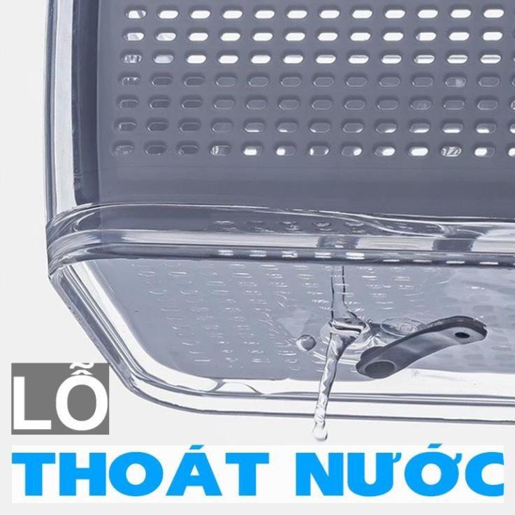 Hộp Thực Phẩm Bằng Nhựa Cao Cấp Bảo Quản Đồ Tươi Để Tủ Lạnh 2 Ngăn Tiện Lợi