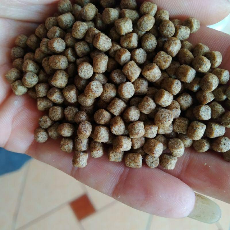 1KG Cám cá NEW STELLA vàng thơm không còn nặng