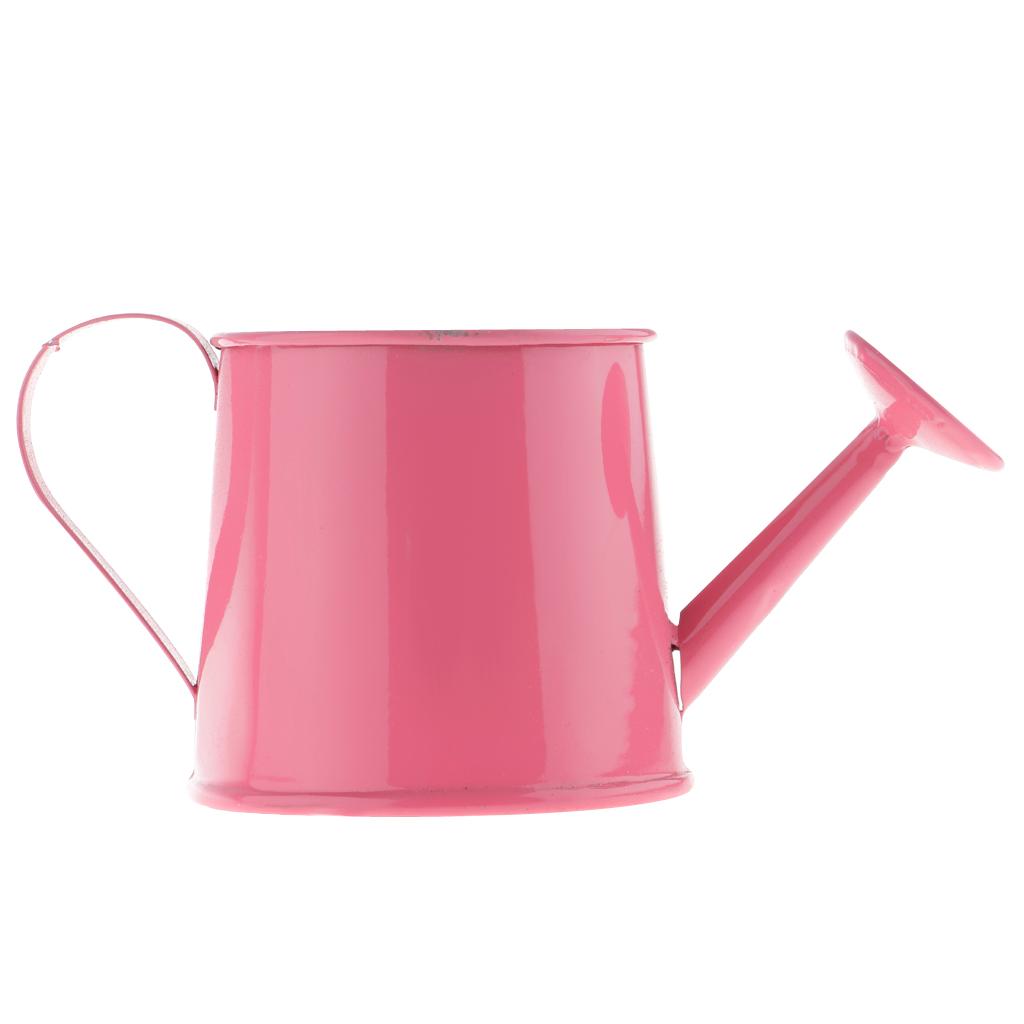 Pastoral Style Colorful Tin Flower Pot Mini Bonsai Watering Can Pot
