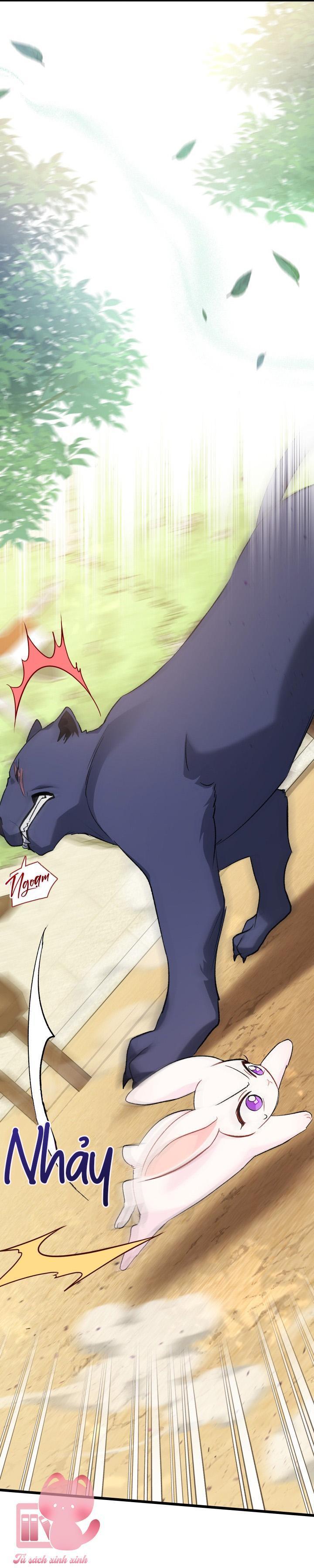 quan hệ cộng sinh giữa báo đen và thỏ trắng chapter 82 55