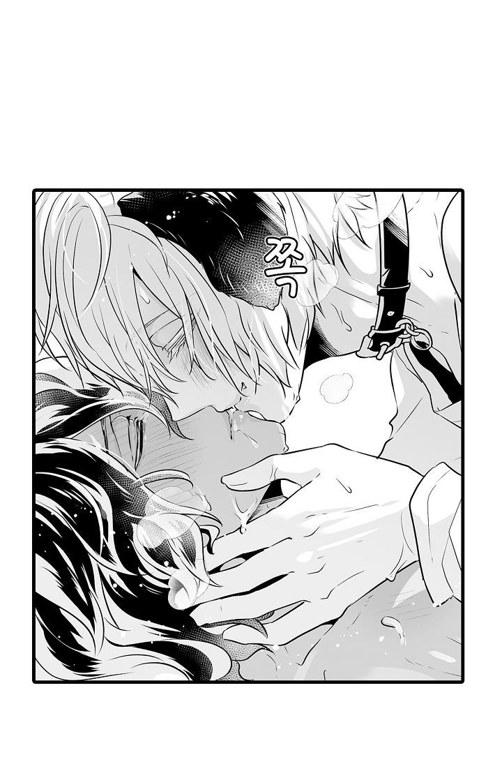 gấu ngủ đông chapter 8.2 4